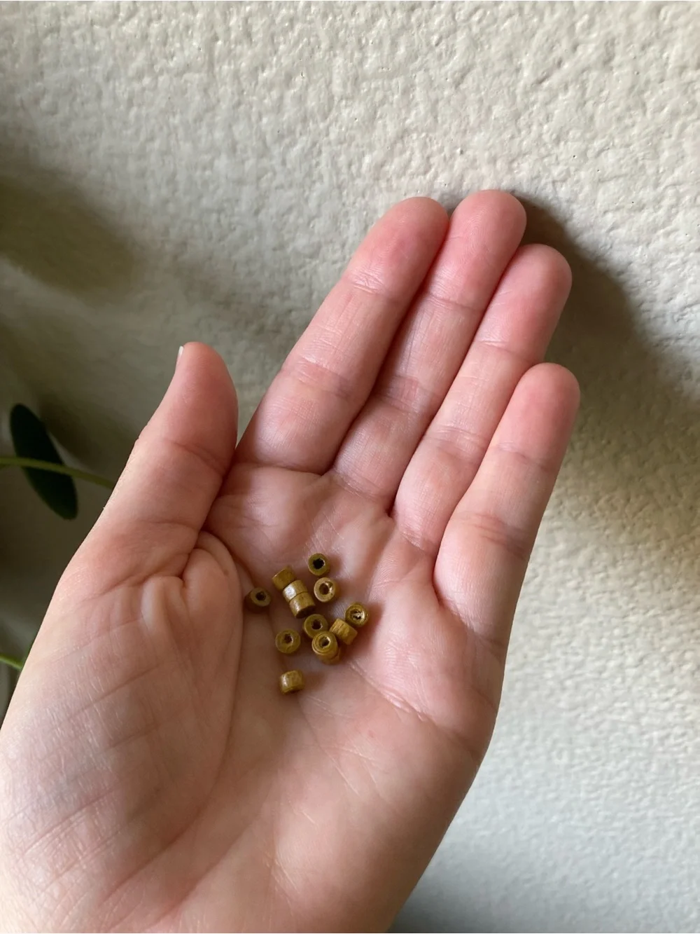 Wood, Coconut and Shell Bead Mix with Organizer